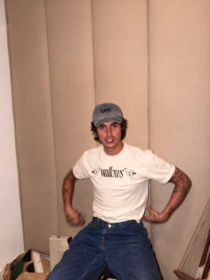 Wallows | Official Merchandise Store – Wallows Store