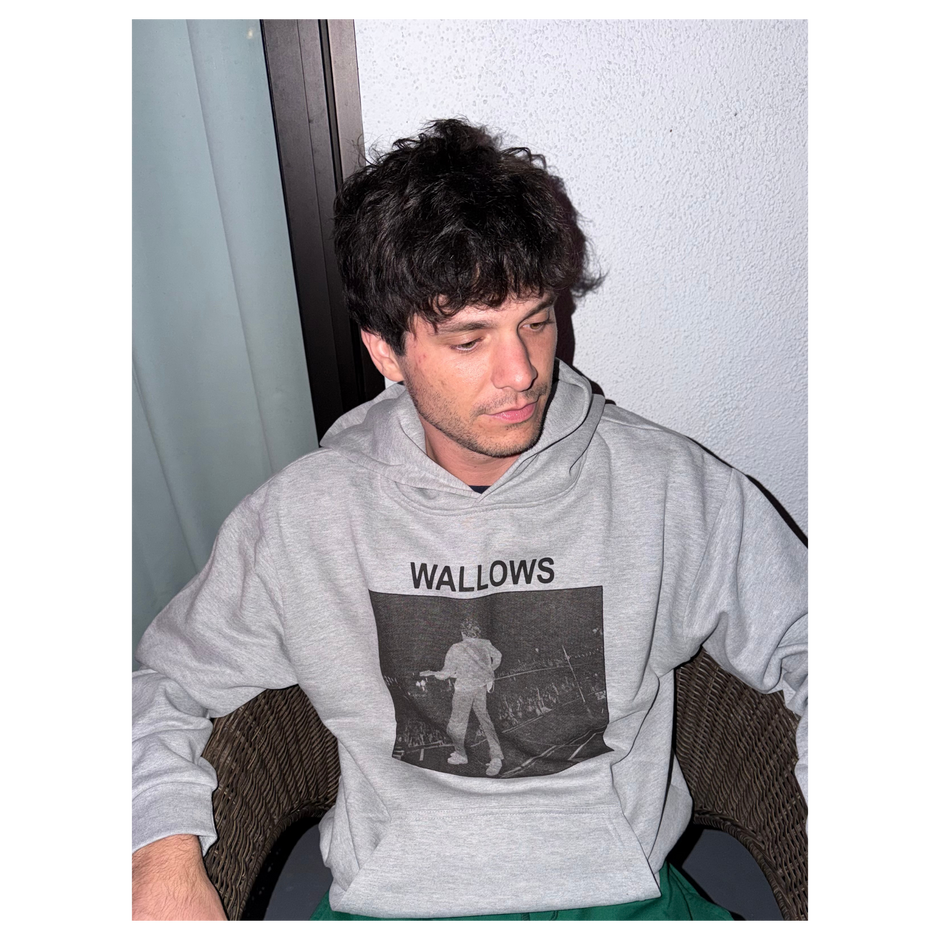 Wallows | Official Merchandise Store – Wallows Store