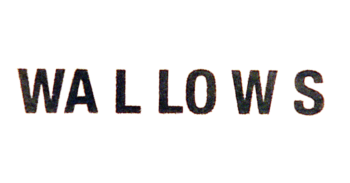 Wallows | Official Merchandise Store β Wallows Store