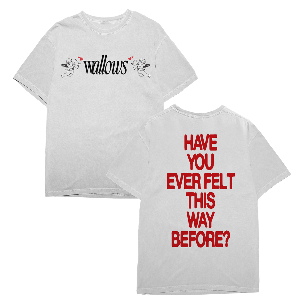 Wallows | Official Merchandise Store – Wallows Store