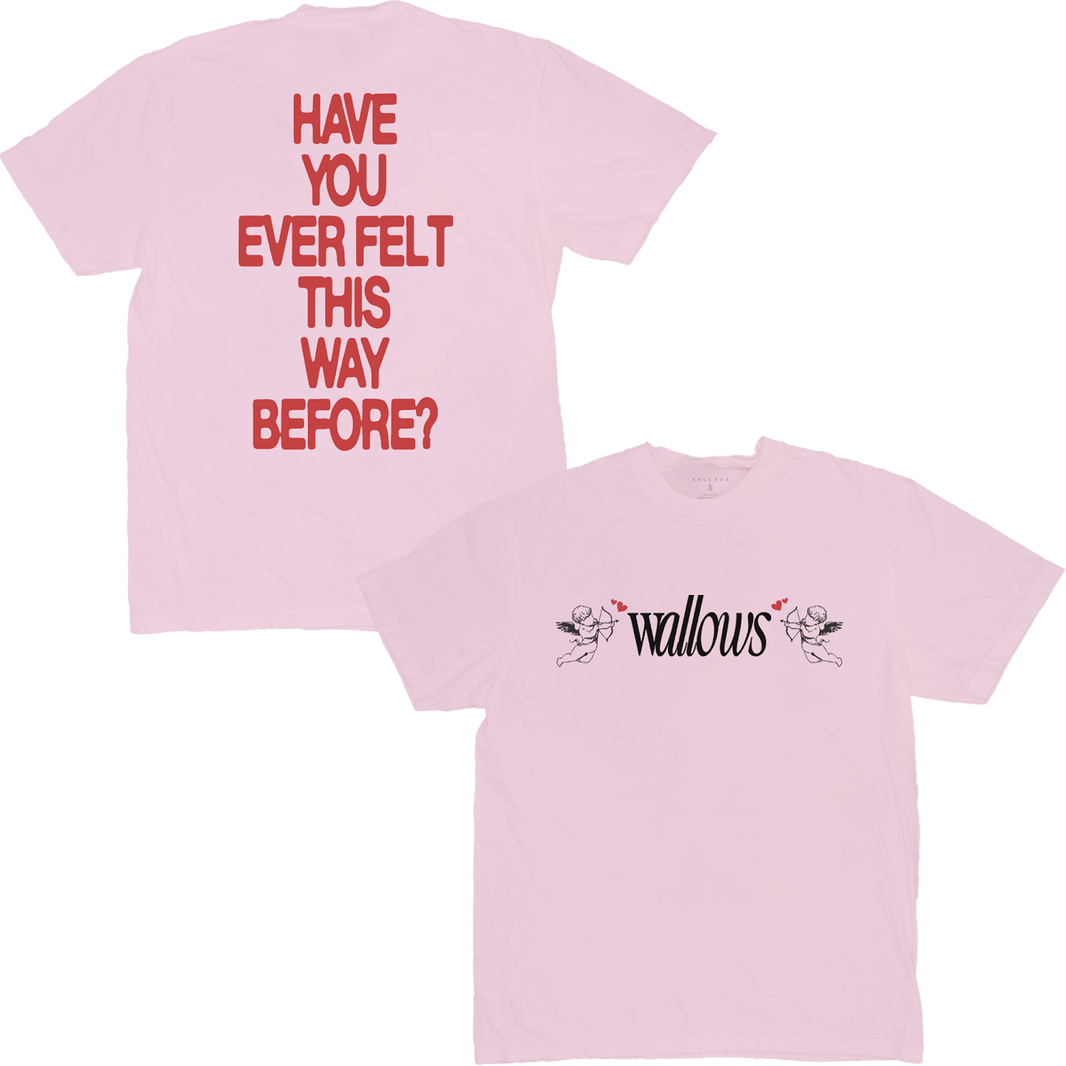 Wallows | Official Merchandise Store – Wallows Store