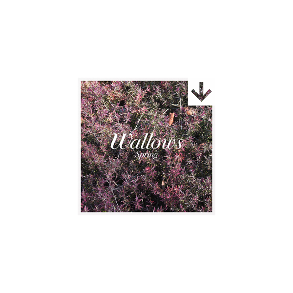 'SPRING' EP (DIGITAL ALBUM) Wallows Store